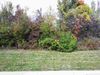 712 Bellingham Dr photo
